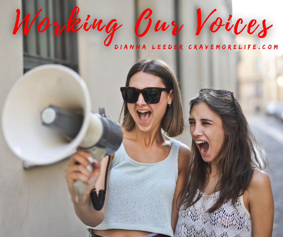 Working Our Voices