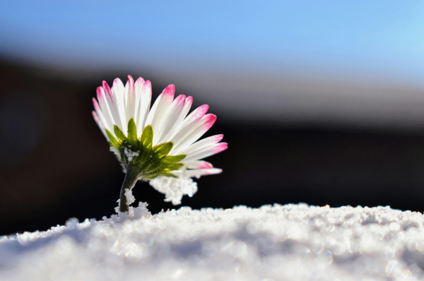 It truly is the little things…